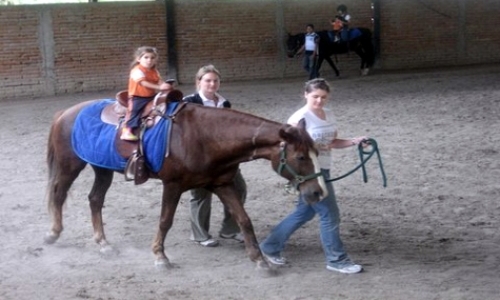 Equine, Riding Therapy for Children with Disability