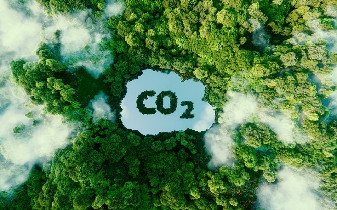 Celebrate Carbon Dioxide - CO2 is the Gas of Life