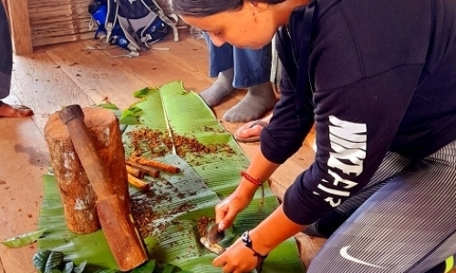 Amazonian Traditional Plant Medicine Internship