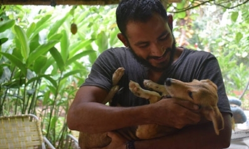 Animal Welfare Program Animal Welfare Program