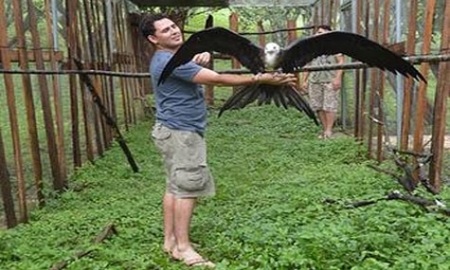 Avian Rehab Internships Avian Rehab Internships