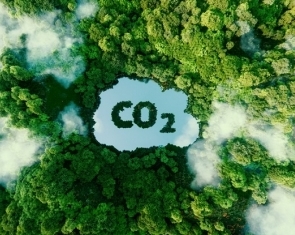 Celebrate Carbon Dioxide - CO2 is the Gas of Life