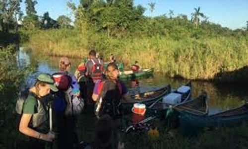 Community Ecology Internship