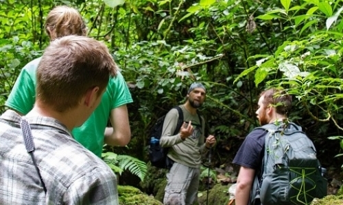 Conserving Guatemala's Cloud Forests