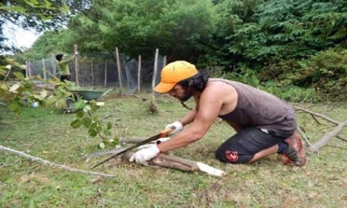 Improvement of Wildlife Rehabilitation Centre