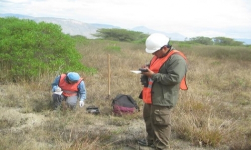 Environmental Science and Engineering Internships