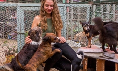 Help Street Dogs & Cats in Cloud Forest