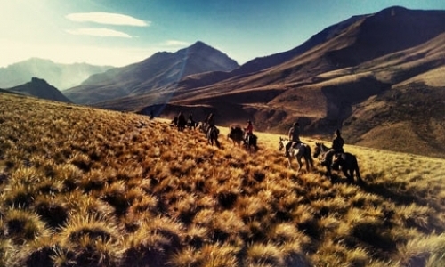 Horse Ranch in Patagonia
