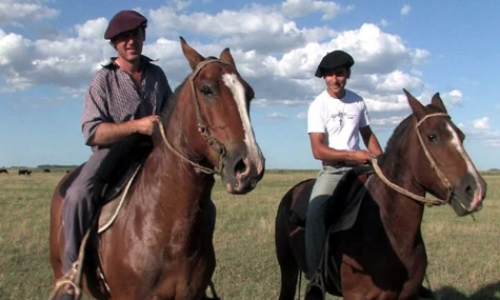 Horse Riding Volunteer Horse Riding Volunteer
