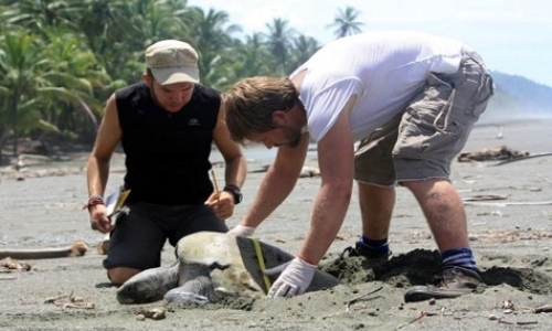 Long-term Field Internships Long-term Field Internships