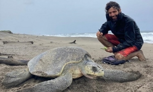 Los Brasiles Sea Turtle Conservation Project