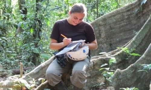 Monitoring Wild Macaws in Costa Rica