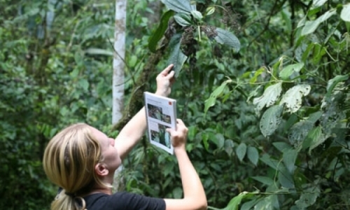 Nature Reserve Stewards