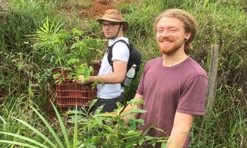 Brazilian Atlantic Rainforest Restoration