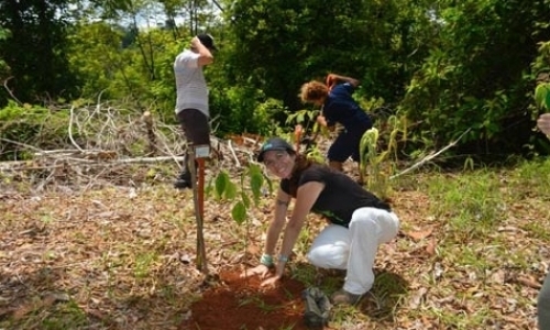 Fellowship in Tropical Ecology, Restoration, and Conservation Fellowship in Tropical Ecology, Restoration, and Conservation