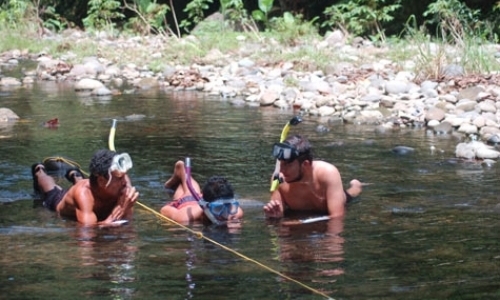 Stream Biomonitoring Program Stream Biomonitoring Program