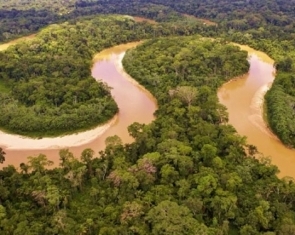 Travelling The Majestic Amazon River