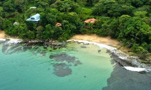 Volunteer at Beachfront Eco-Lodge or Permaculture Project Volunteer at Beachfront Eco-Lodge or Permaculture Project