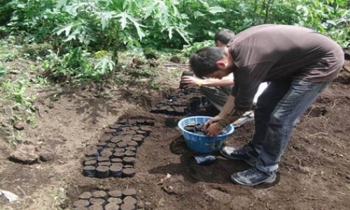 Volunteer at Permaculture Institute Volunteer at Permaculture Institute