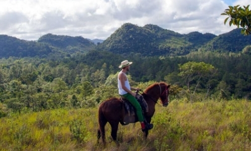 Volunteer for Eco-Friendly Hotel Volunteer for Eco-Friendly Hotel