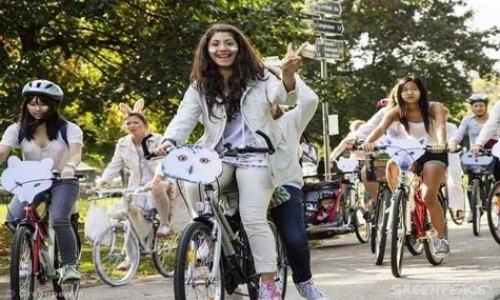 Volunteer for Independent Campaigning Organisation