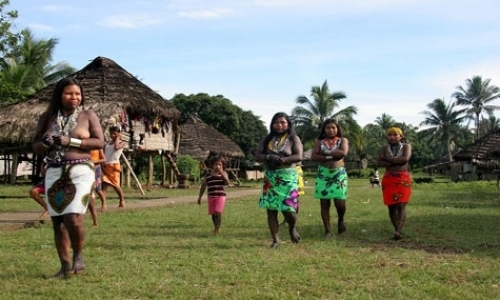 Volunteer in Remote Jungles Volunteer in Remote Jungles