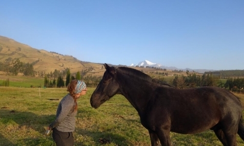 Help with Riding Tours
