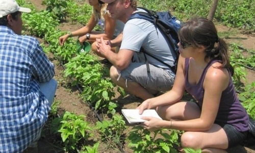 Community Development & Permaculture Volunteers Community Development & Permaculture Volunteers