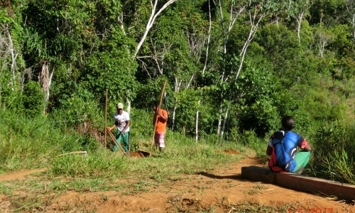 Cacao Farm Renovations Cacao Farm Renovations