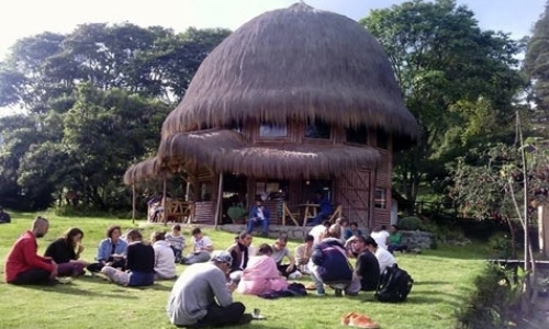 Volunteering at Eco Yoga Farm