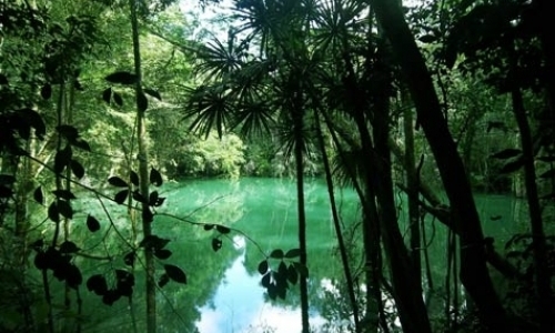 Wetland Creation Internship Wetland Creation Internship